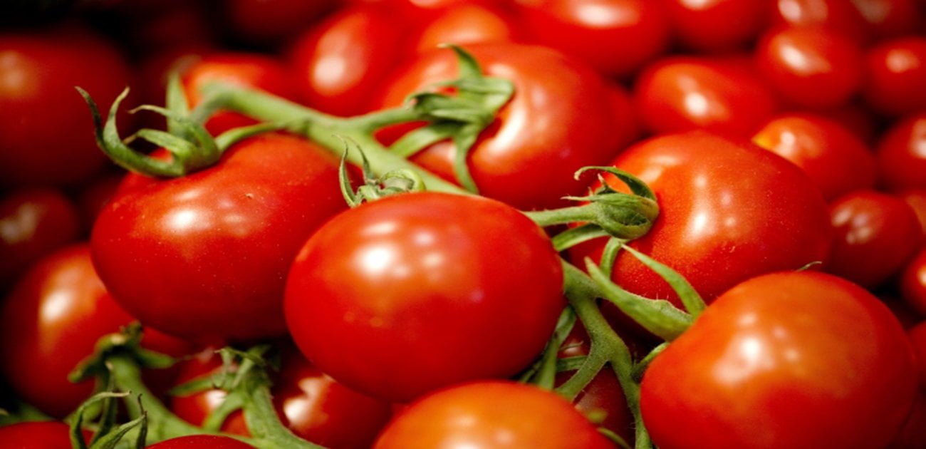 Produttore svela: "Il segreto del gusto dei pomodorini pachino? Lo sfruttamento degli immigrati" - Lercio