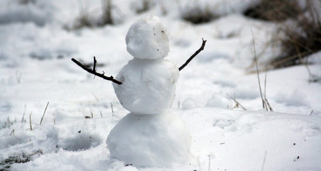 "Sono creature come noi", animalisti protestano contro lo scioglimento dei pupazzi di neve - Lercio