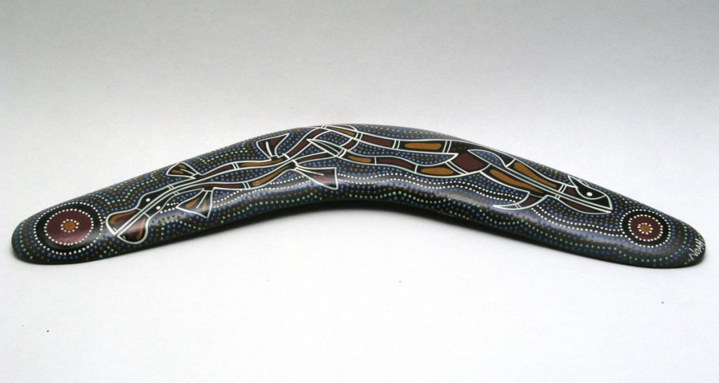 Ricerca rivela: i boomerang tornano indietro perché provano nostalgia - Lercio