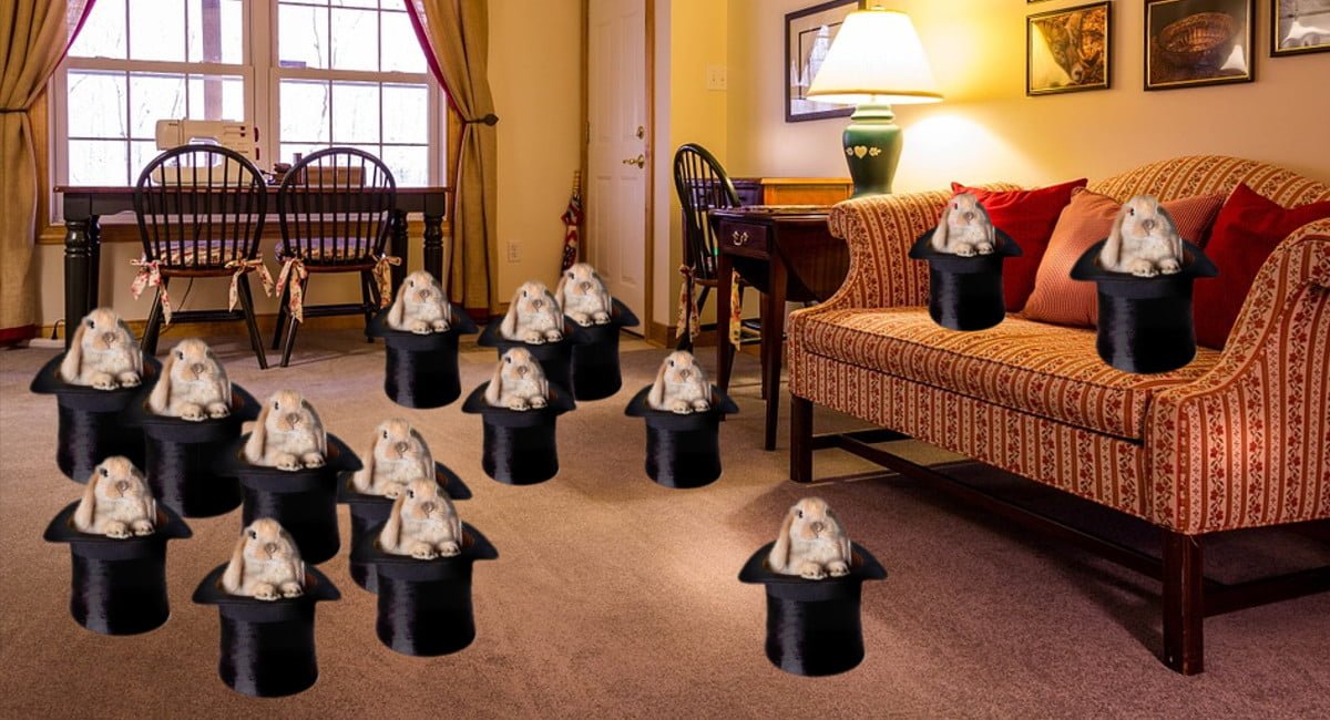 Collezionista di cilindri si ritrova la casa invasa dai conigli - Lercio