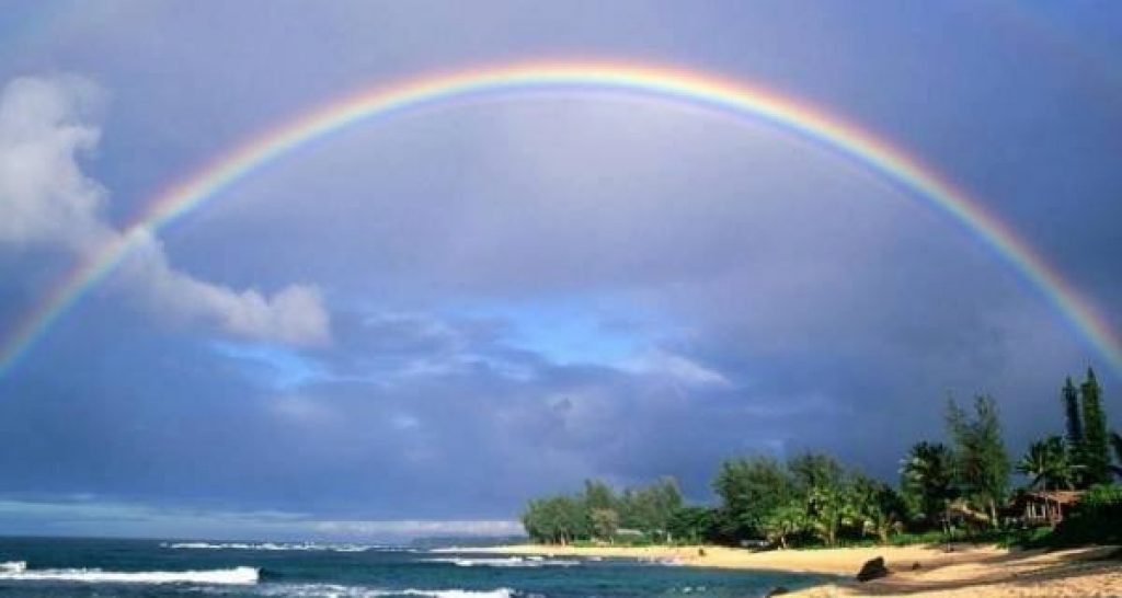 Facebook. Ecco cosa accade quando rimuovi qualcuno dagli amici - Lercio