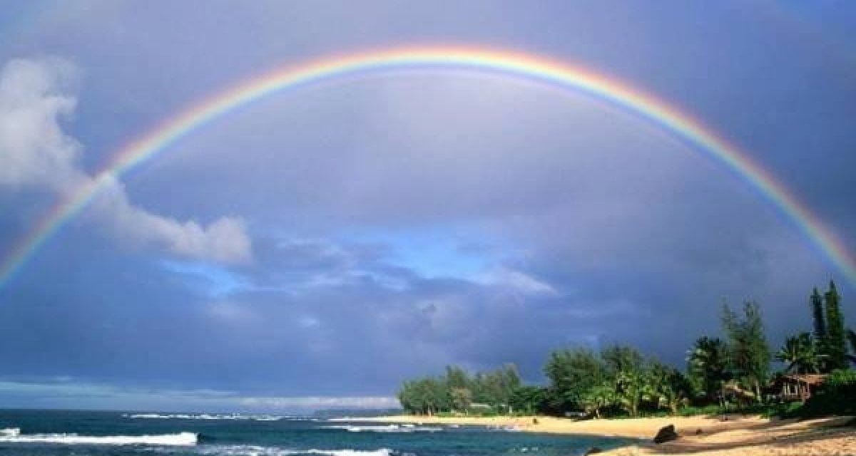 Facebook. Ecco cosa accade quando rimuovi qualcuno dagli amici - Lercio