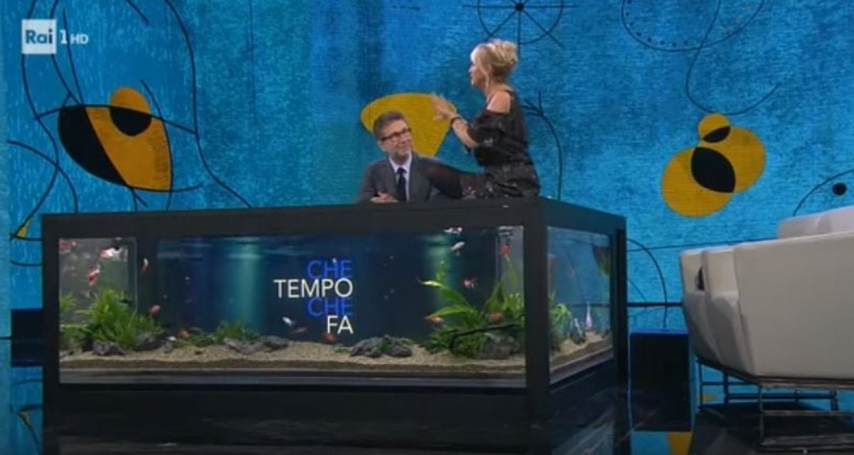 "Che tempo che fa", pesci dell'acquario muoiono durante monologo di Luciana Littizzetto - Lercio