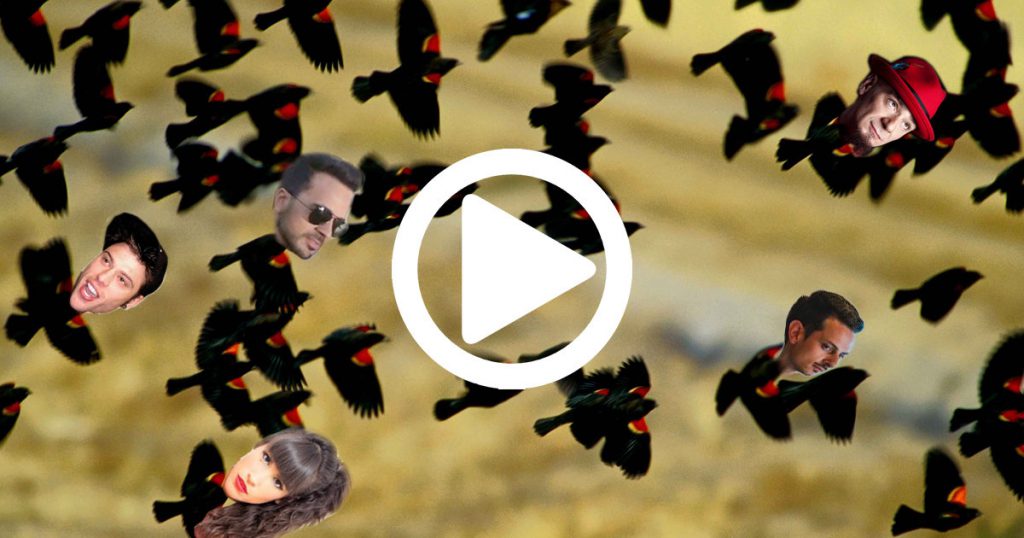 Natura. Filmato il volo dei cantanti migratori per depositare i tormentoni nei paesi caldi - VIDEO - Lercio