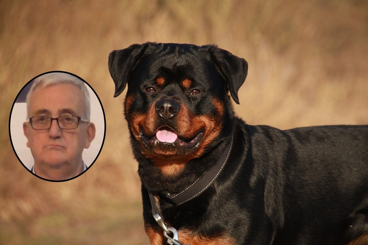 Cane di Borghezio rifiuta di farsi curare da veterinario di colore - Lercio