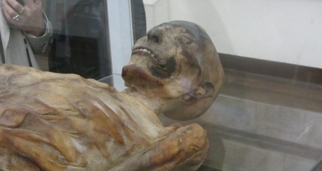 Museo Egizio di Torino, trovata mummia con idee più progressiste della Meloni - Lercio