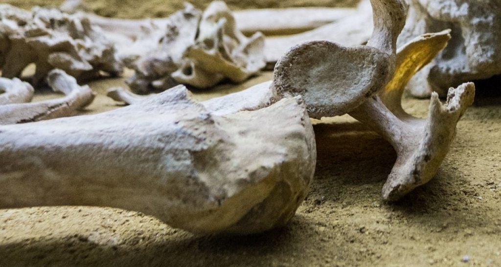 Archeologo profana la tomba della moglie per vedere se aveva veramente le ossa grosse - Lercio
