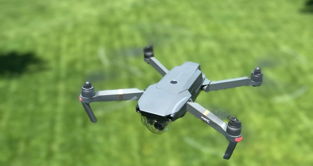 Colombia, drone scova una serra di pomodorini tra la coca - Lercio