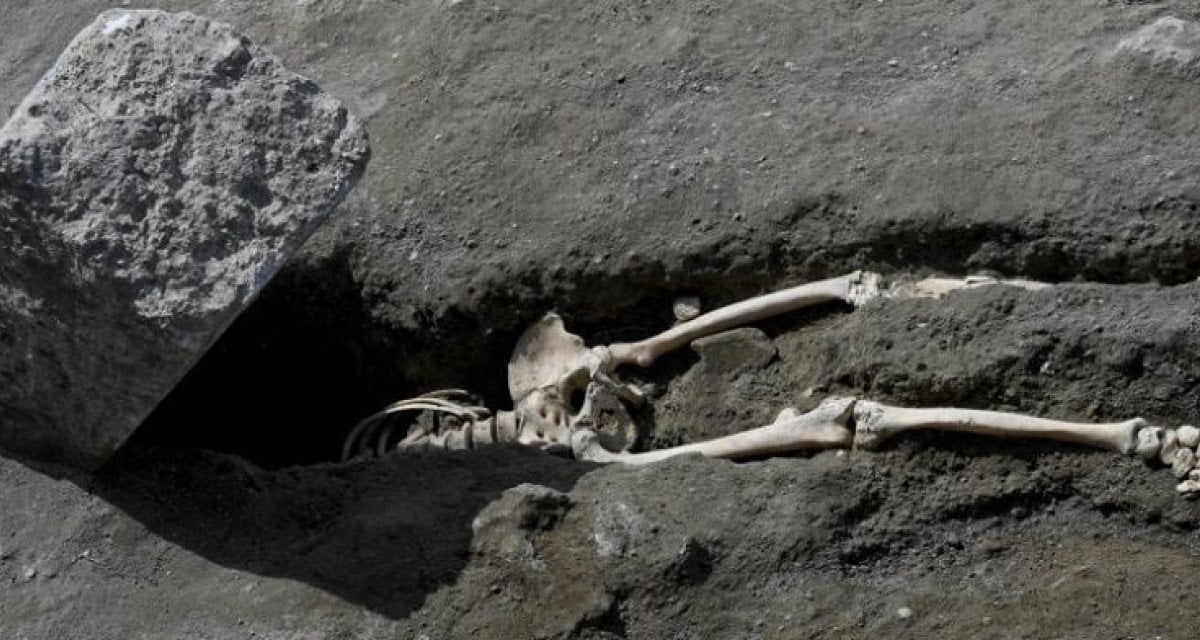 Pompei, ritrovato lo scheletro di Wile Coyote - Lercio