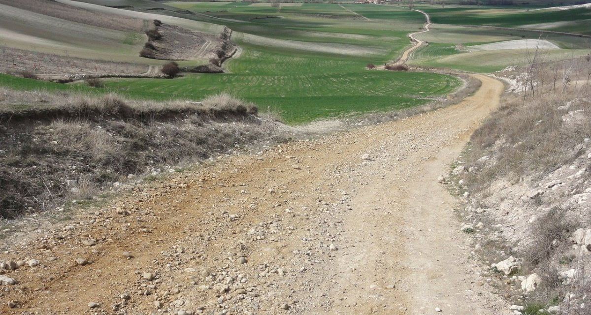 Visita di Stato in Spagna: Fico ci arriva col cammino di Santiago di Compostela - Lercio