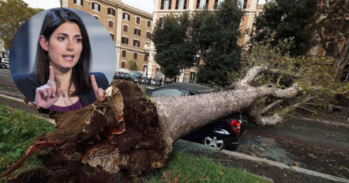 Danni a Roma, Raggi: "Tifosi russi ballavano e saltavano sugli alberi!" - Lercio