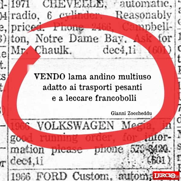 Annunci Lerci 3 Dicembre 2018