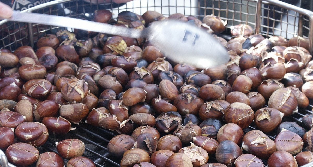 Liberalizzazioni. Dal 2019 le caldarroste si potranno acquistare anche in oreficeria - Lercio