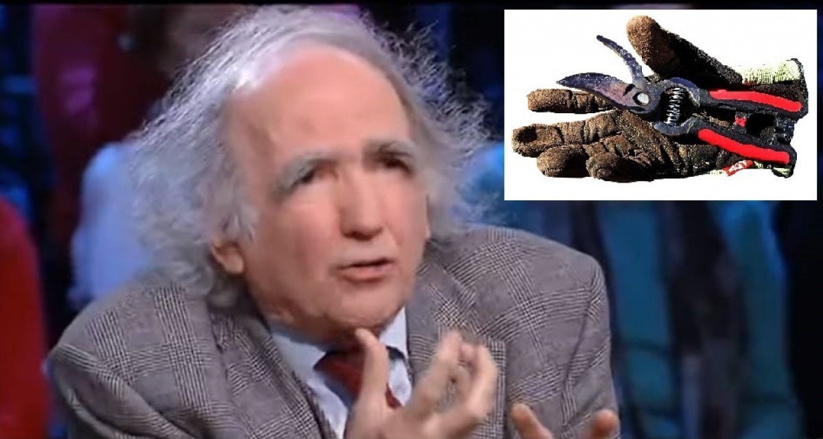 Decide di sistemarsi le sopracciglia: Vittorino Andreoli si rivolge a un giardiniere - Lercio