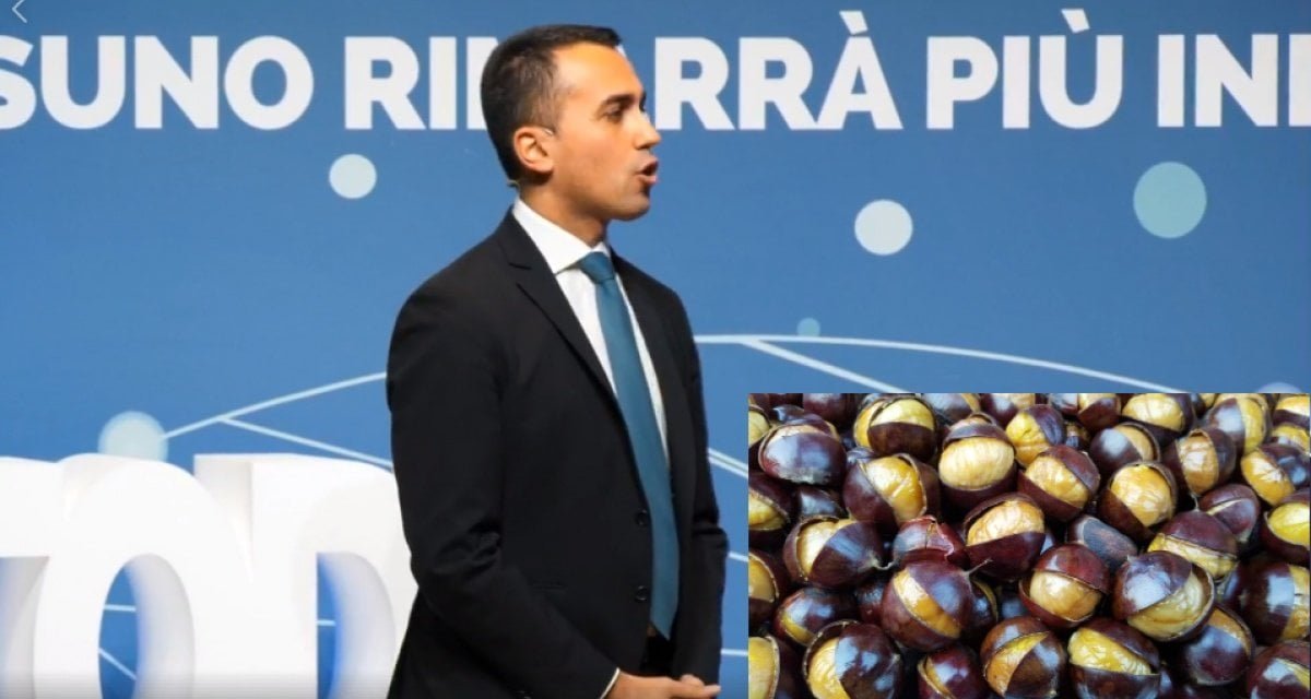 Reddito di cittadinanza, esclusi quelli che hanno comprato caldarroste negli ultimi due anni - Lercio