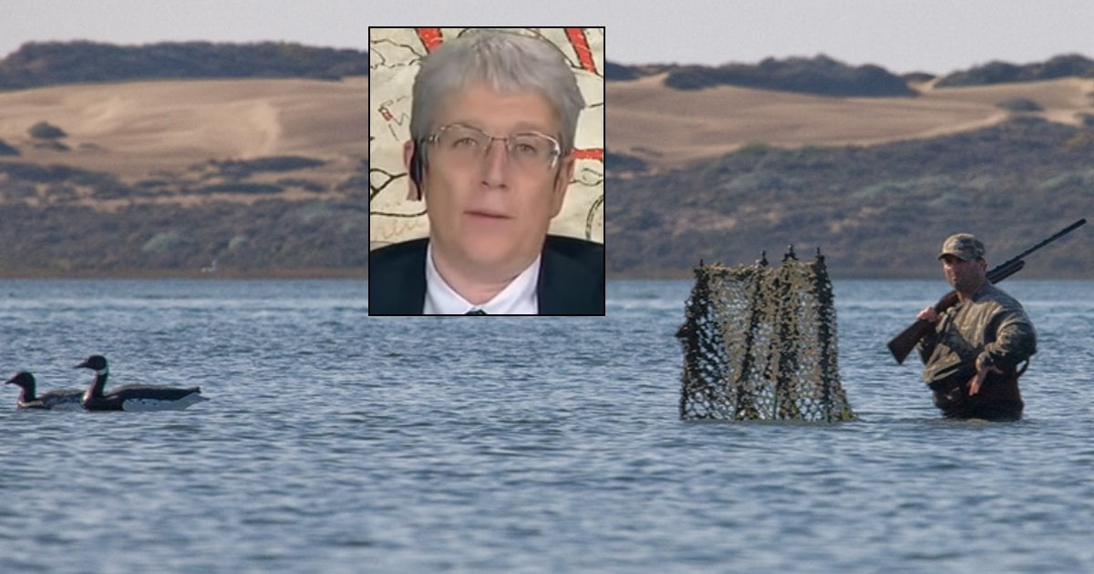 Cacciatore registra audio di Mario Giordano e lo usa come richiamo per le anatre - Lercio