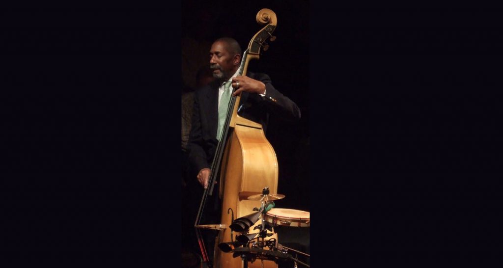 Contrabbassista jazz si addormenta durante il suo assolo - Lercio
