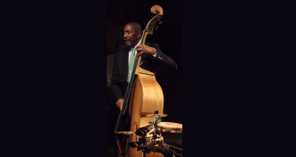 Contrabbassista jazz si addormenta durante il suo assolo - Lercio