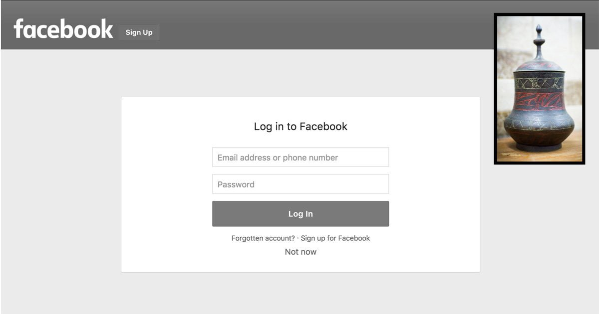 Biotestamento, si potrà chiedere di farsi cremare insieme al proprio profilo Facebook - Lercio