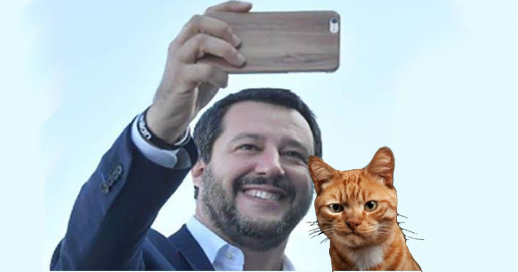 Salvini scatta selfie con un gattino e il micio gli chiede dei 49 milioni - Lercio