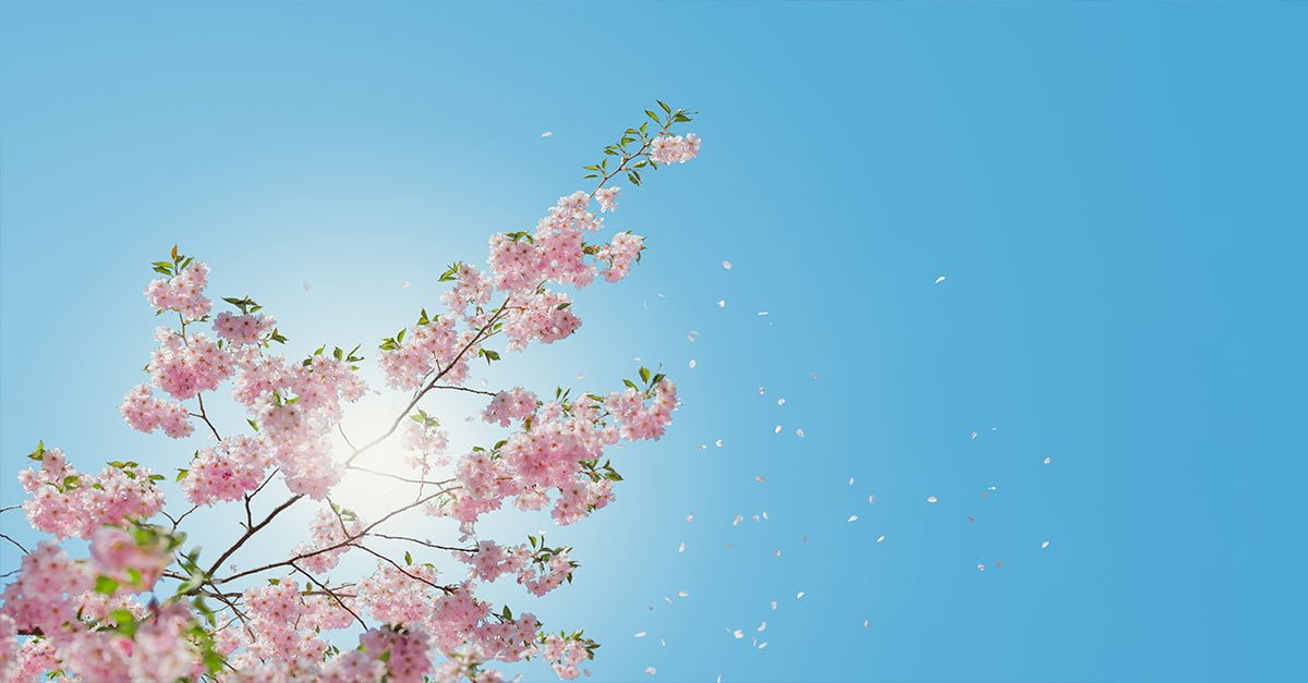 Primavera confessa: "In Italia non mi hanno fatta entrare" - Lercio