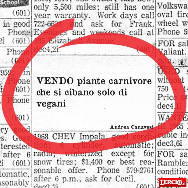 Annunci Lerci 21 Ottobre 2019