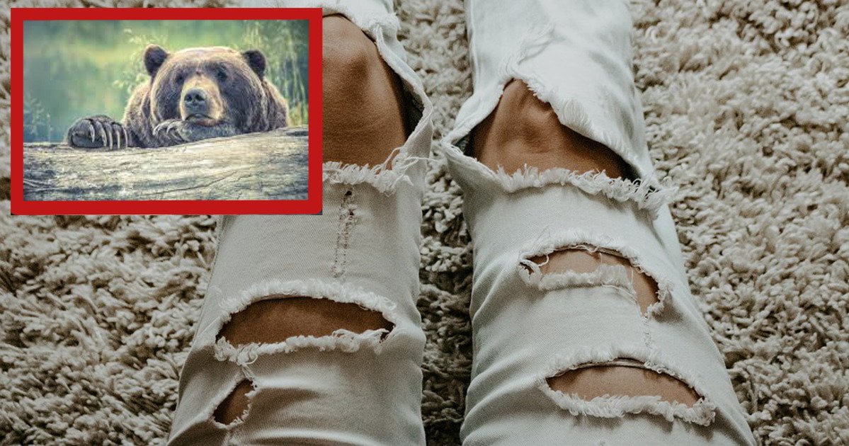 Addio a Bruno, l'orso che strappava i jeans per le case di moda italiane - Lercio