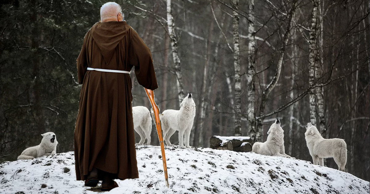 Non Ci Parlavano Frati Francescani Abbattono Famiglia Di Lupi Comunita Sotto Shock Lercio
