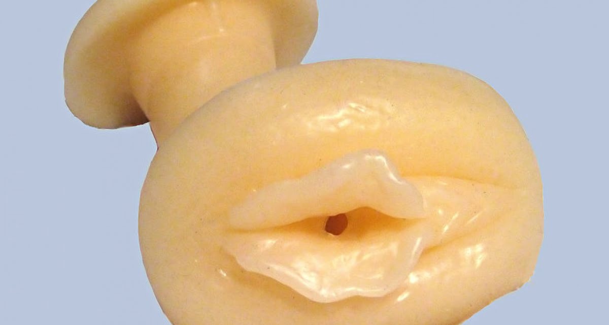 Azienda produttrice di sex toys converte vagina artificiale in respiratore