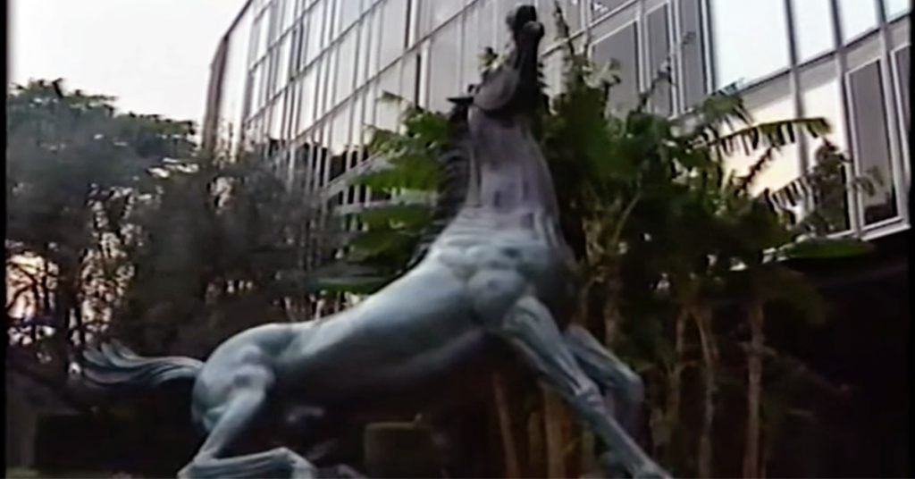 cavallo rai