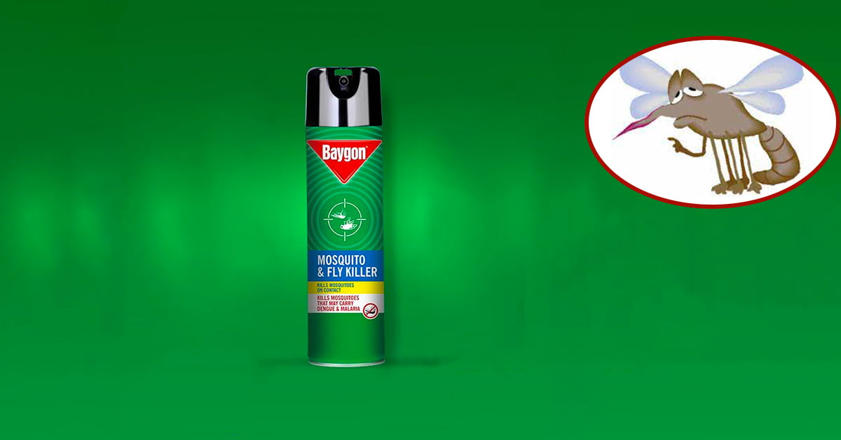 baygon spray