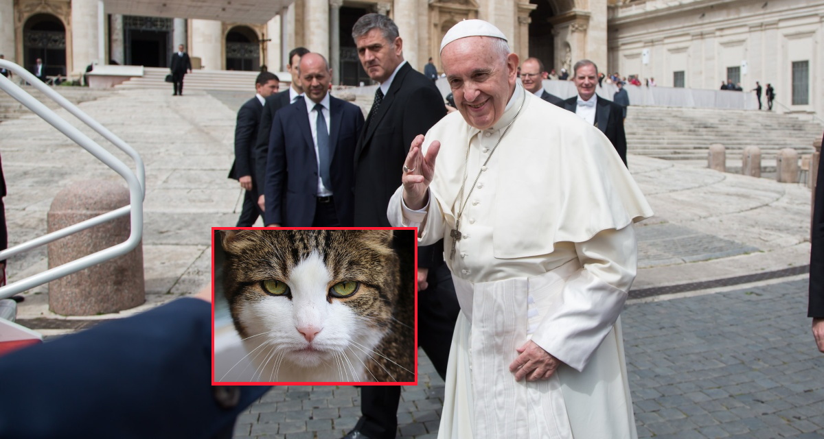 Foto Credits: Università Campus Bio-Medico e Manfred Richter