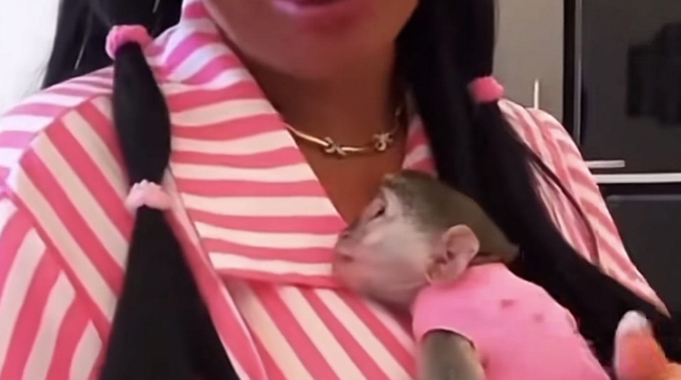 rita de crescenzo con scimmietta